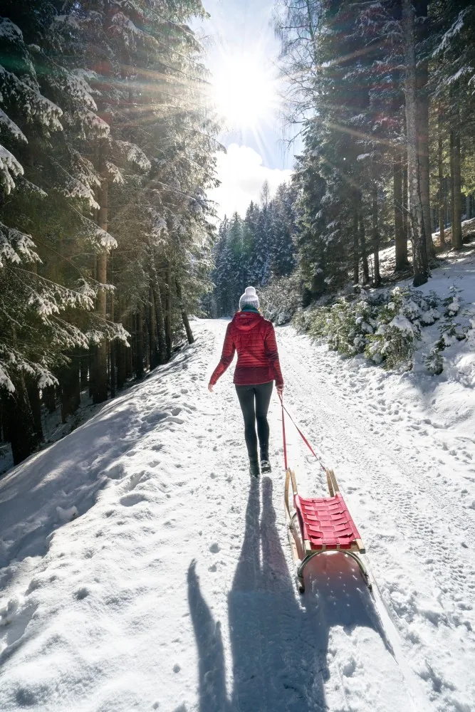 Rodelbahn in der Region