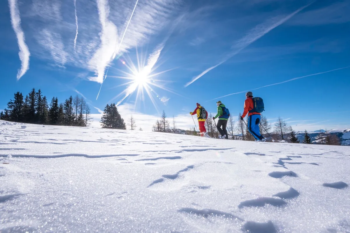 Spur im Tiefschnee